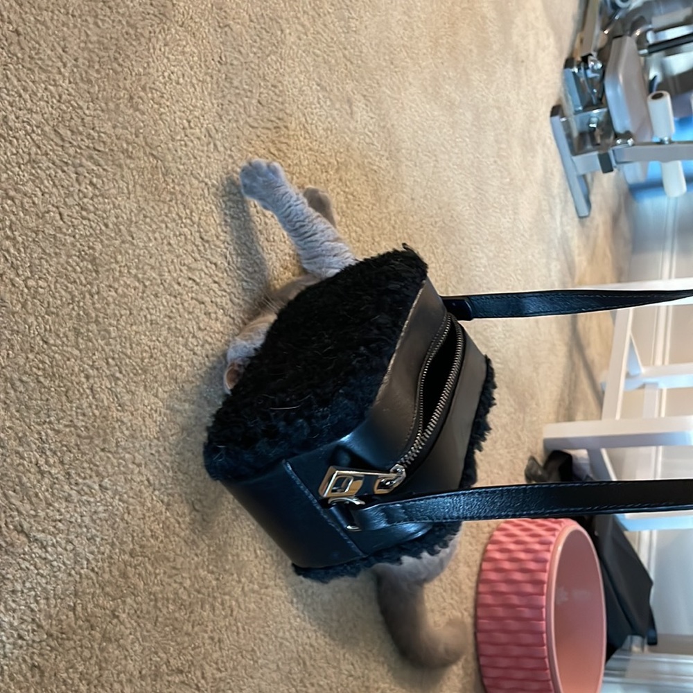 Sandro cute faux fur crossbody bag. - Picture 3 of 4